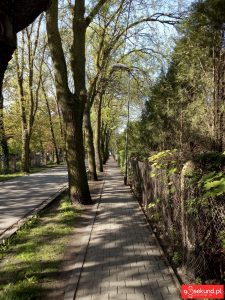 Zdjęcie wykonane smartfonem TP-Link Neffos C7 - recenzja 90sekund.pl