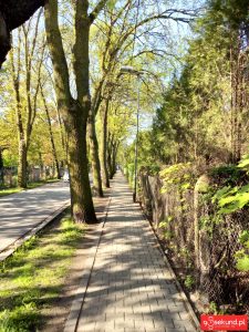 Zdjęcie HDR wykonane smartfonem TP-Link Neffos C7 - recenzja 90sekund.pl