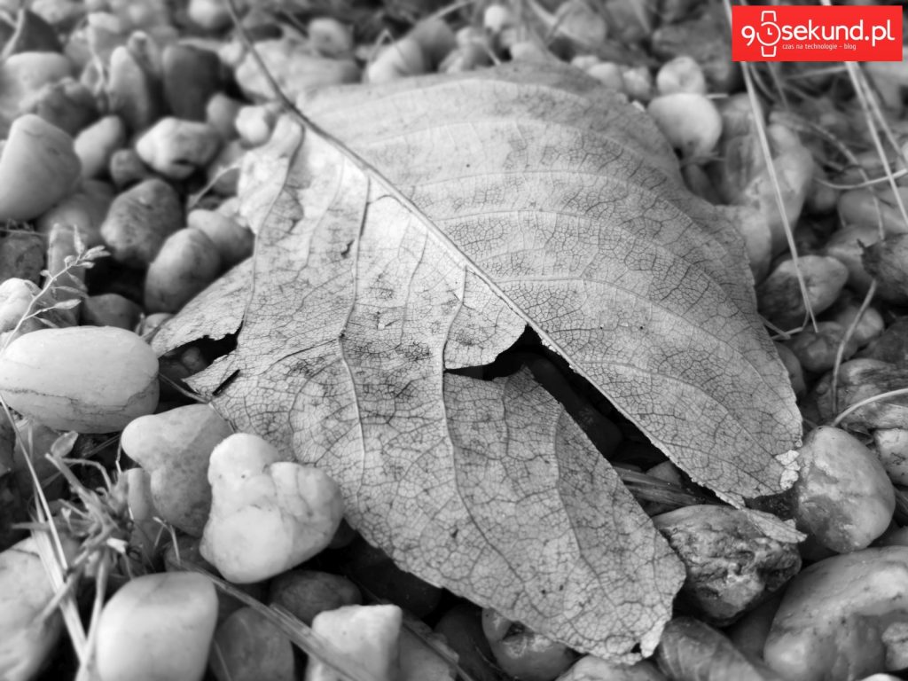 Zdjęcie monochromatyczne wykonane Huawei P20 - 90sekund.pl - Michał Brożyński