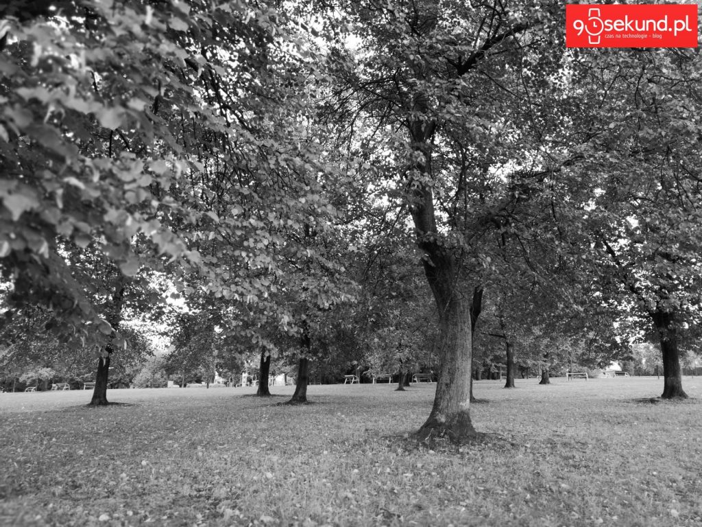 Zdjęcie monochromatyczne wykonane Huawei P20 - 90sekund.pl - Michał Brożyński