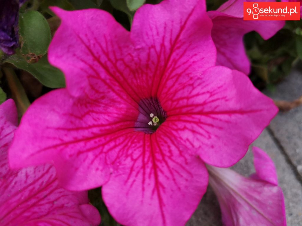 Zdjęcie wykonane Huawei P20 - 90sekund.pl - Michał Brożyński