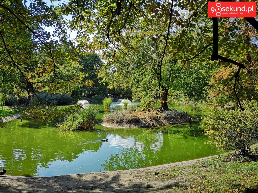 Zdjęcie wykonane Huawei P20 - 90sekund.pl - Michał Brożyński