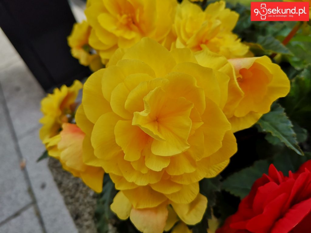 Zdjęcie wykonane Huawei P20 - 90sekund.pl - Michał Brożyński