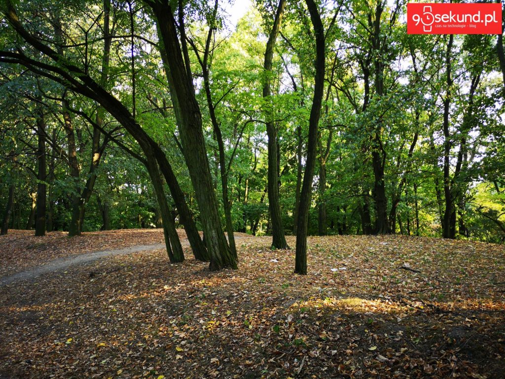 Zdjęcie wykonane Huawei P20 - 90sekund.pl - Michał Brożyński