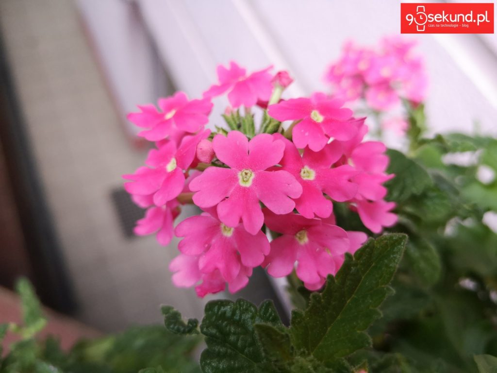 Zdjęcie wykonane Huawei P20 - 90sekund.pl - Michał Brożyński