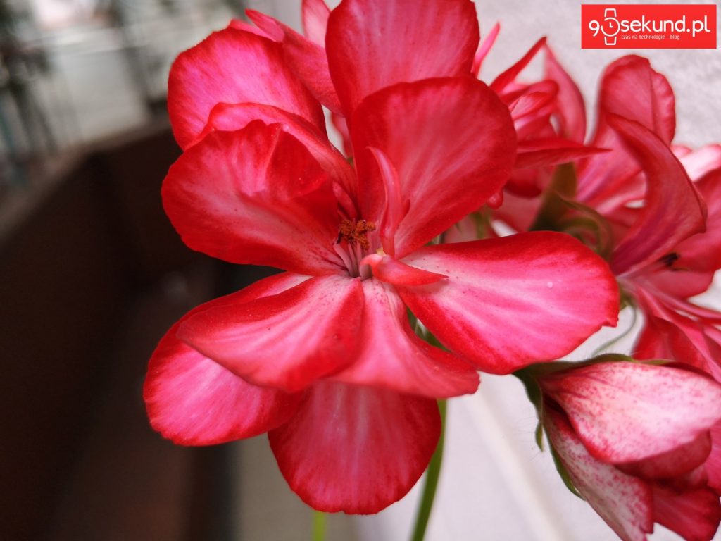 Zdjęcie wykonane Huawei P20 - 90sekund.pl - Michał Brożyński