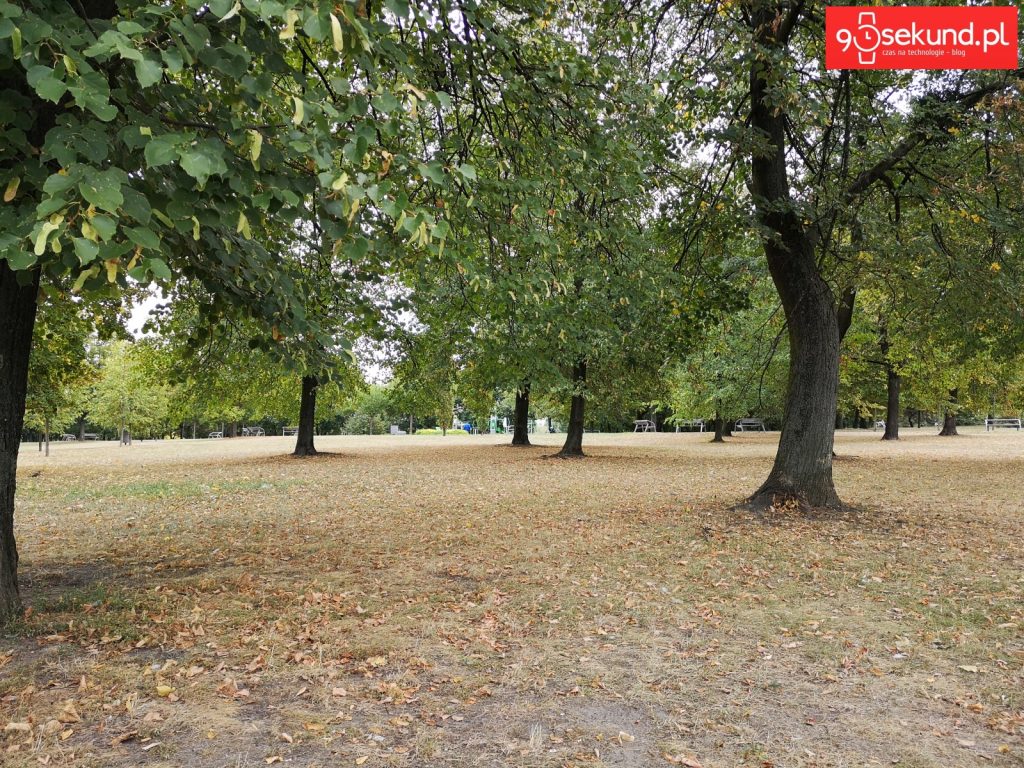 Zdjęcie bez AI - Huawei P20 - 90sekund.pl - Michał Brożyński