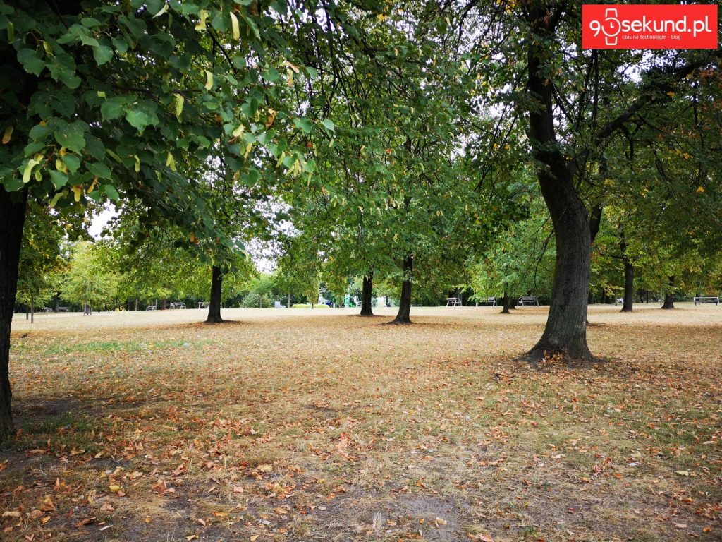 Zdjęcie z AI - Huawei P20 - 90sekund.pl - Michał Brożyński