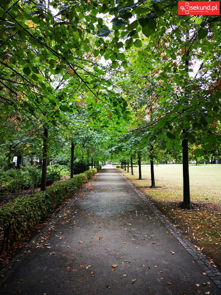 Zdjęcie z AI - Huawei P20 - 90sekund.pl - Michał Brożyński