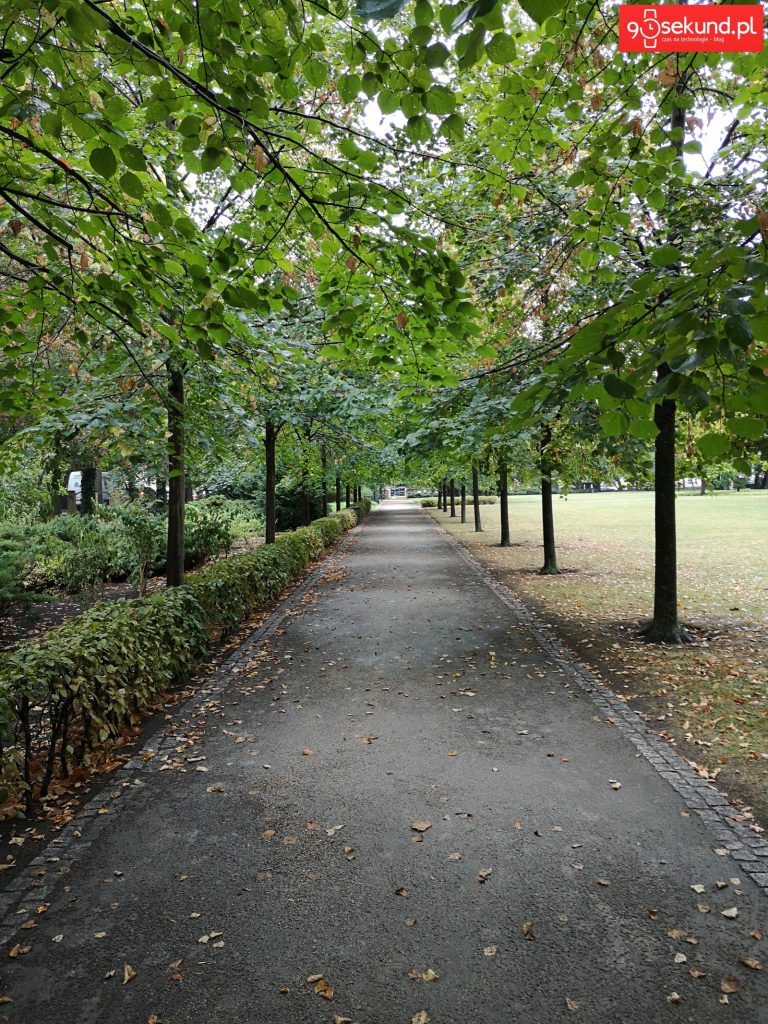 Zdjęcie bez AI - Huawei P20 - 90sekund.pl - Michał Brożyński