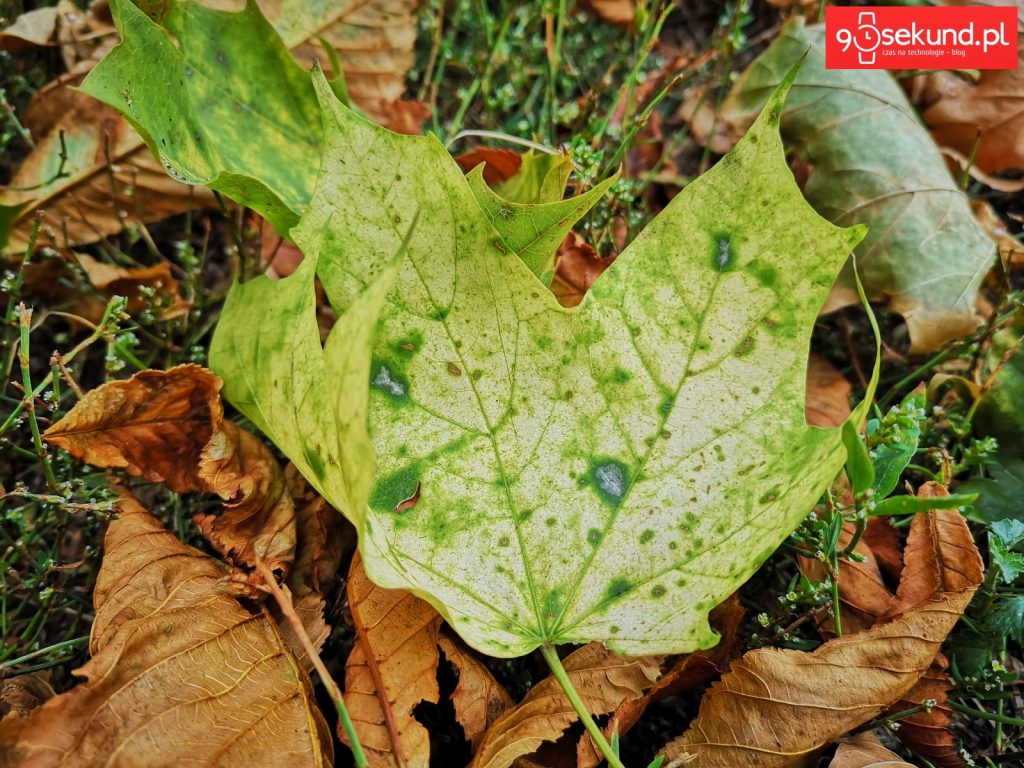 Zdjęcie wykonane Huawei P20 - 90sekund.pl - Michał Brożyński