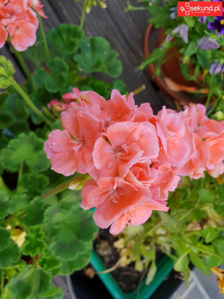 Zdjęcie wykonane Galaxy S9 - 90sekund.pl - Michał Brożyński