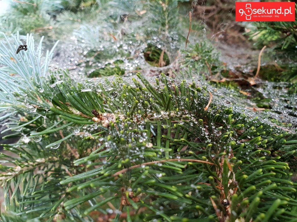 Zdjęcie wykonane Galaxy S9 - 90sekund.pl - Michał Brożyński