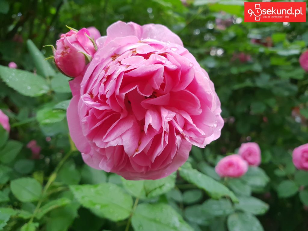 Zdjęcie wykonane Galaxy S9 - 90sekund.pl - Michał Brożyński