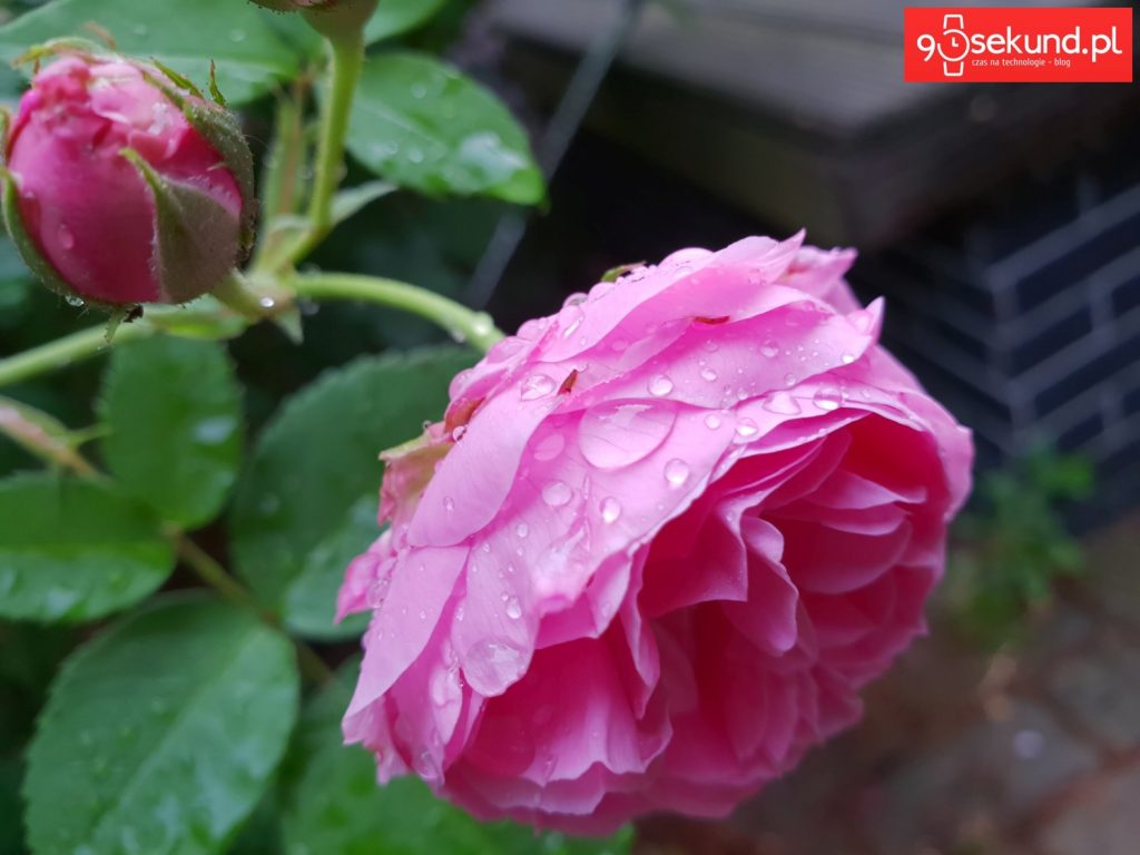 Zdjęcie wykonane Galaxy S9 - 90sekund.pl - Michał Brożyński