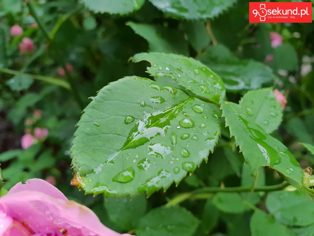 Zdjęcie wykonane Galaxy S9 - 90sekund.pl - Michał Brożyński