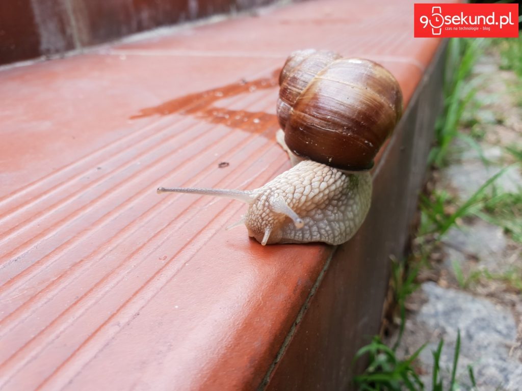 Zdjęcie wykonane Galaxy S9 - 90sekund.pl - Michał Brożyński