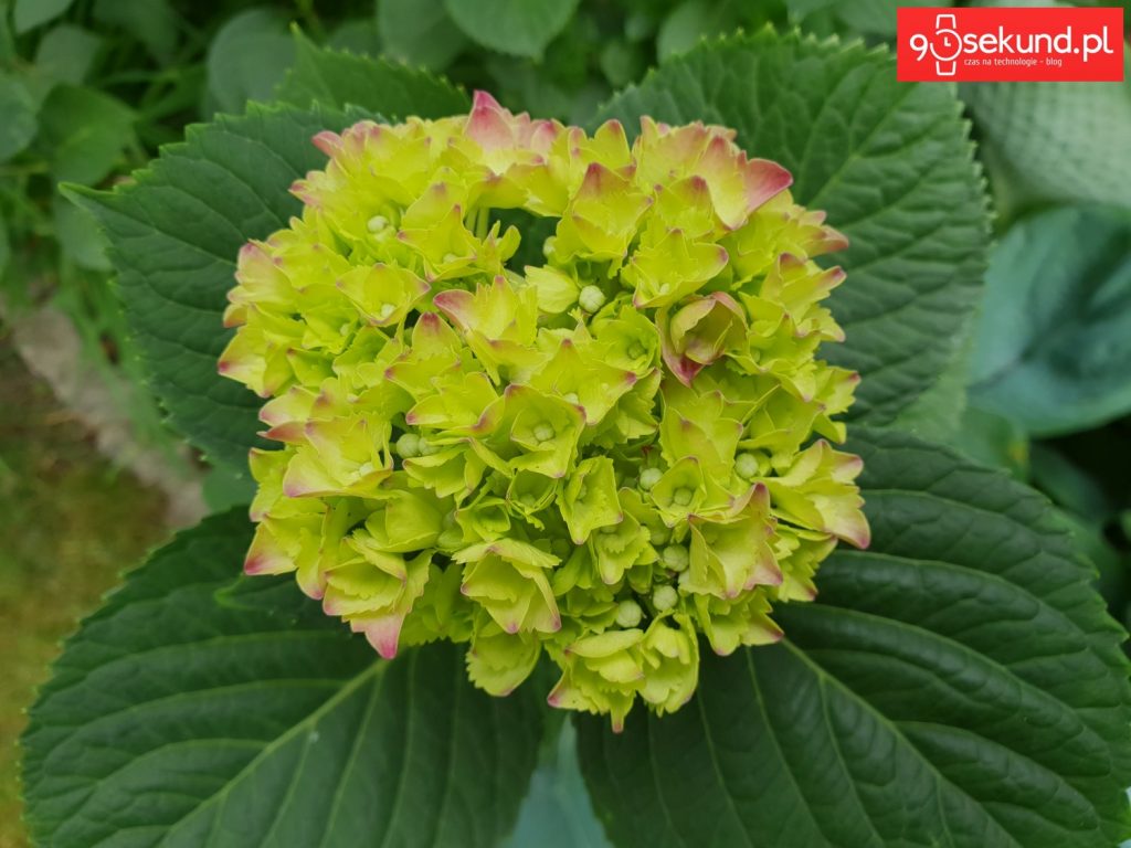 Zdjęcie wykonane Galaxy S9 - 90sekund.pl - Michał Brożyński