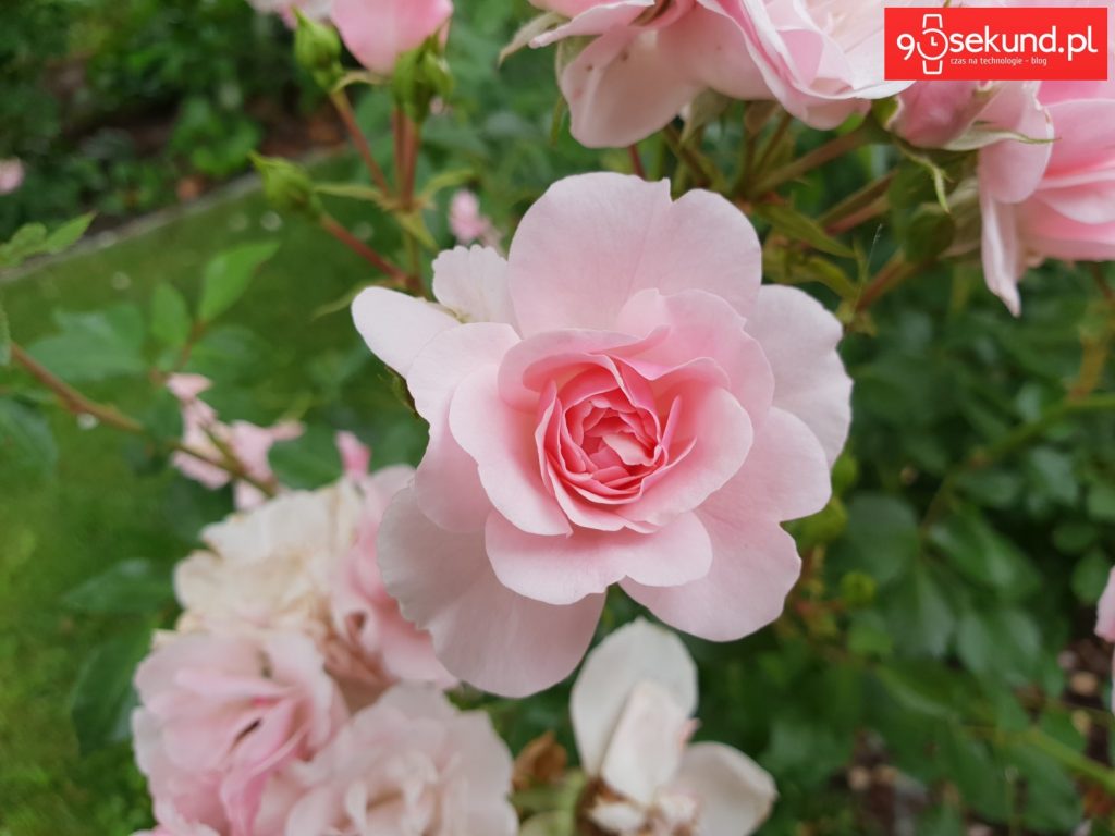 Zdjęcie wykonane Galaxy S9 - 90sekund.pl - Michał Brożyński