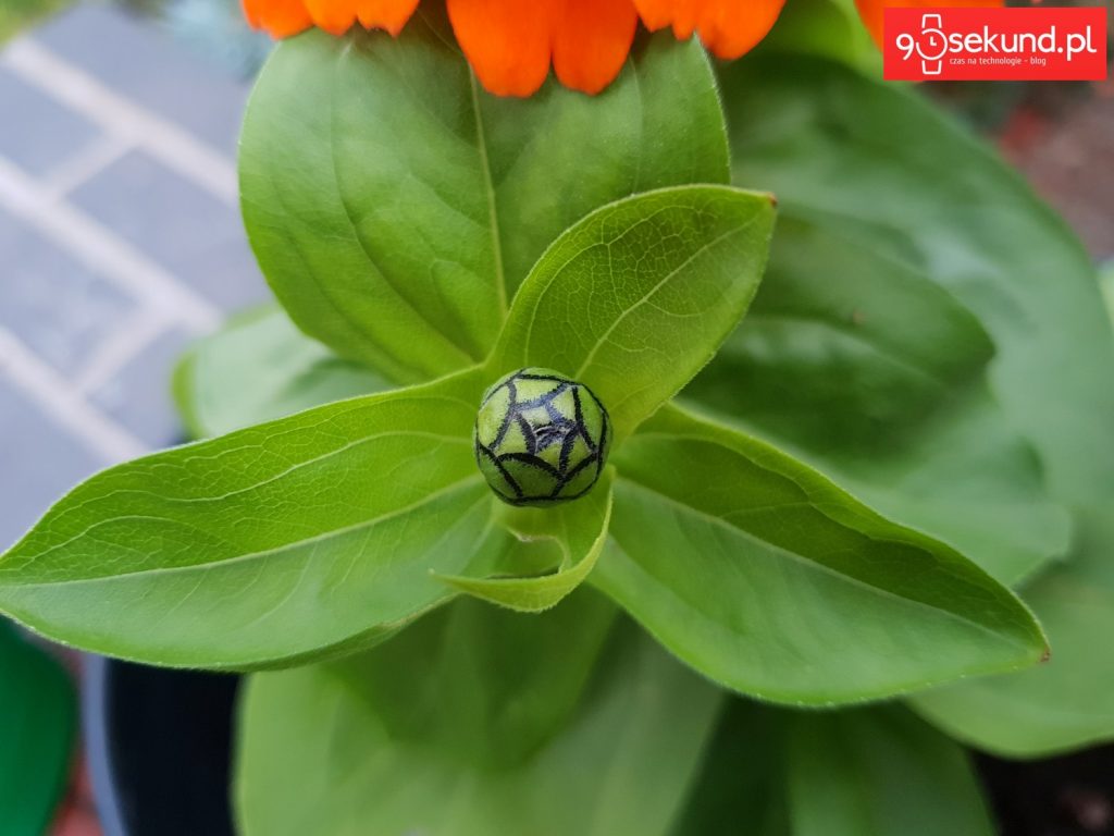 Zdjęcie wykonane Galaxy S9 - 90sekund.pl - Michał Brożyński