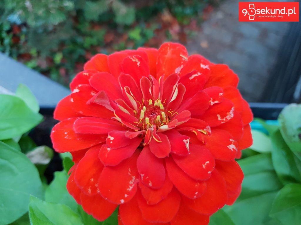 Zdjęcie wykonane Galaxy S9 - 90sekund.pl - Michał Brożyński