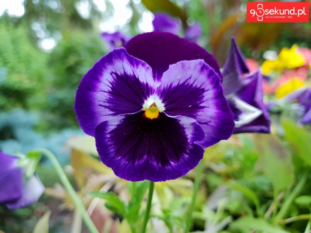 Zdjęcie wykonane Galaxy S9 - 90sekund.pl - Michał Brożyński