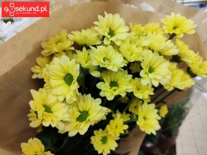 Zdjęcie wykonane Xiaomi Mi Mix 2s - 90sekund.pl / Michał Brożyński