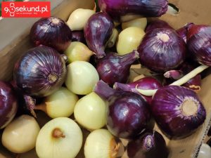 Zdjęcie wykonane Xiaomi Mi Mix 2s - 90sekund.pl / Michał Brożyński