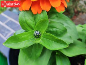 Zdjęcie wykonane Xiaomi Mi Mix 2s - 90sekund.pl / Michał Brożyński