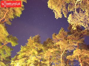 Zdjęcie wykonane Xiaomi Mi Mix 2s - 90sekund.pl / Michał Brożyński