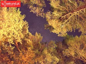 Zdjęcie wykonane Xiaomi Mi Mix 2s - 90sekund.pl / Michał Brożyński