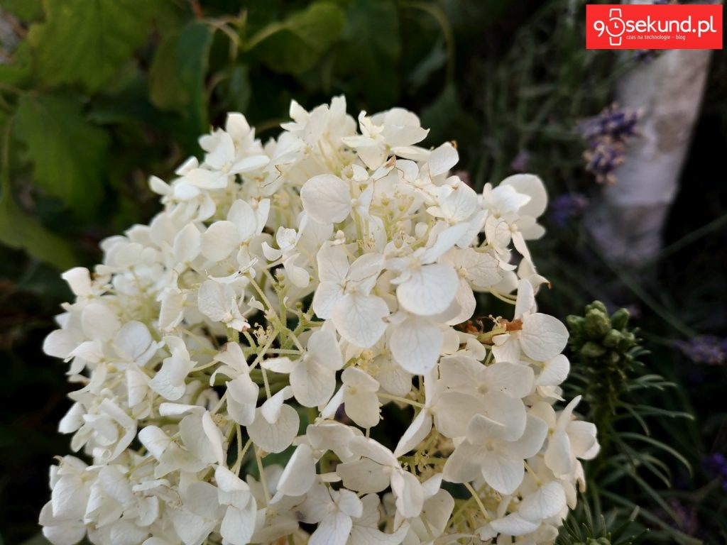 Zdjęcie wykonane Xiaomi Redmi Note 5 - 90sekund.pl / Michał Brożyński