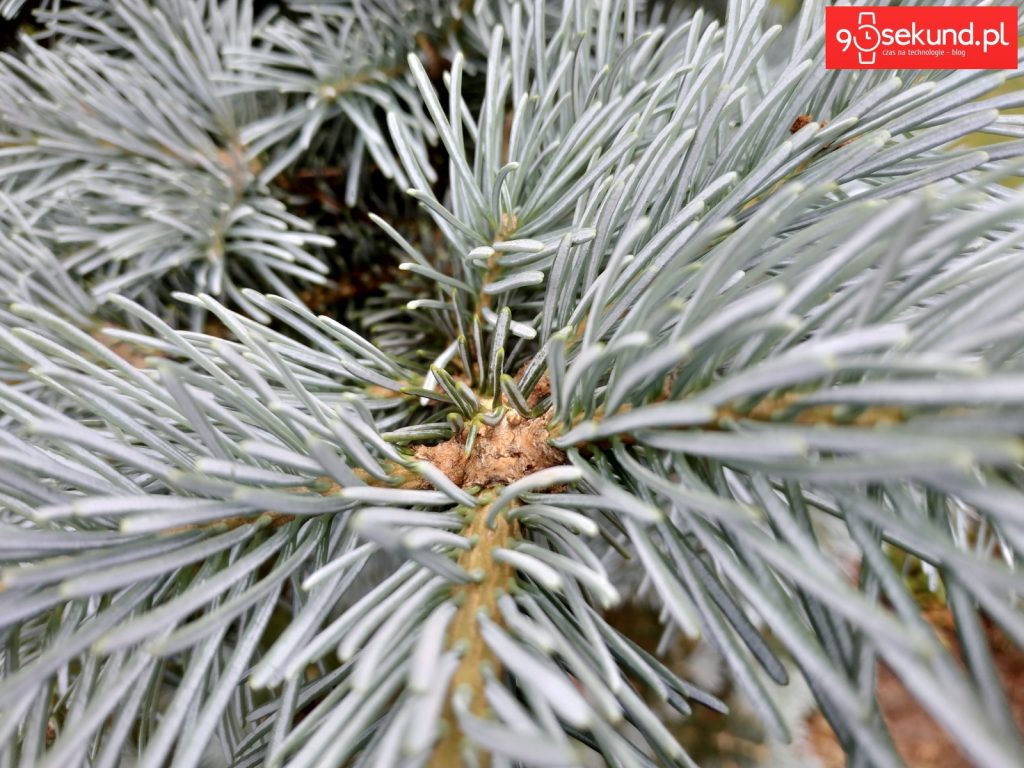 Zdjęcie wykonane Xiaomi Redmi Note 5 - 90sekund.pl / Michał Brożyński