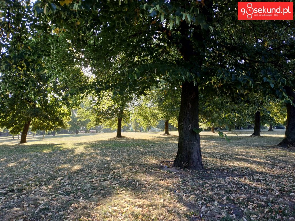 Zdjęcie wykonane Xiaomi Redmi Note 5 - 90sekund.pl / Michał Brożyński