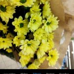 Tak Sztuczna Inteligencja w Xiaomi Mi Mix 2s rozpoznaje obiekty - 90sekund.pl / Michał Brożyński