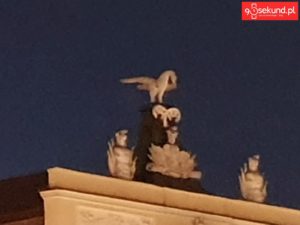 10x zoom cyfrowy w Galaxy S10 Plus - Michał Brożyński 90sekund.pl