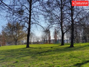 Teleobiektyw w Galaxy S10 Plus - Michał Brożyński 90sekund.pl